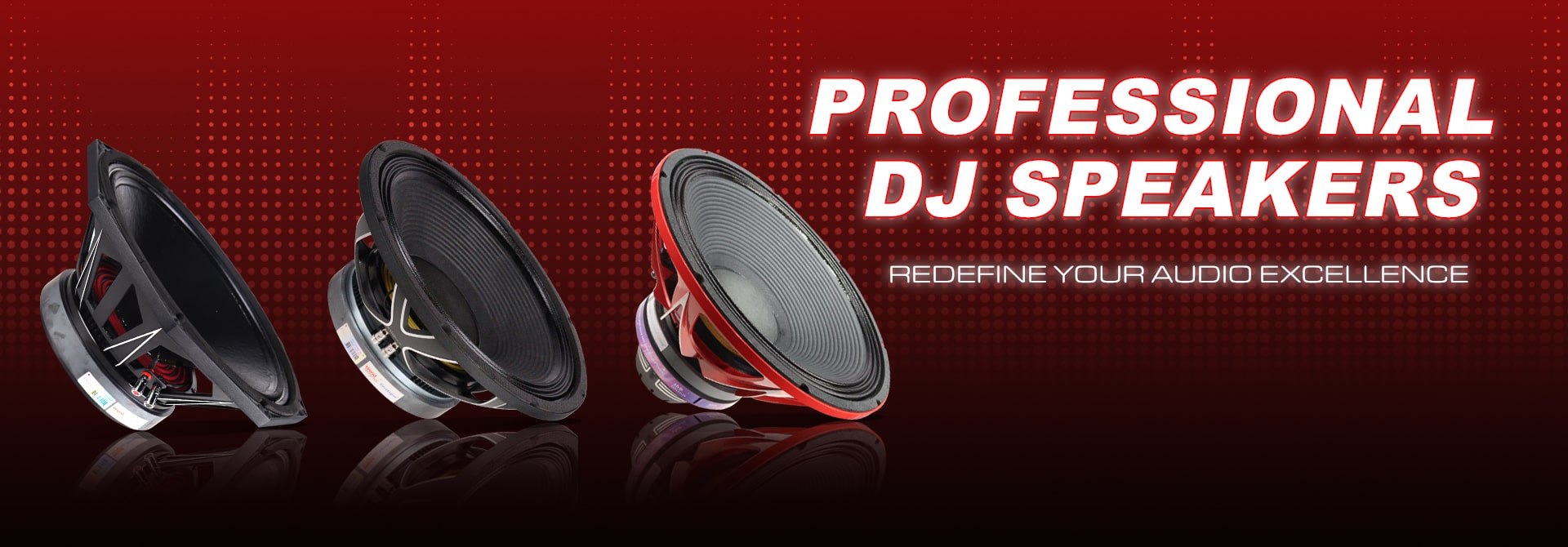 Professional DJ Speaker in India