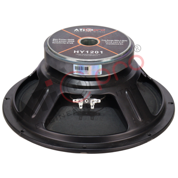 12 Inch DJ Speaker 250 Watt With 2.5″ Voice Coil Model HY1201